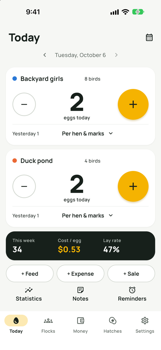 Today screen: egg counters for each flock with plus and minus buttons