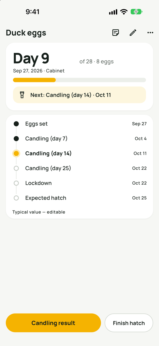 Incubation stages