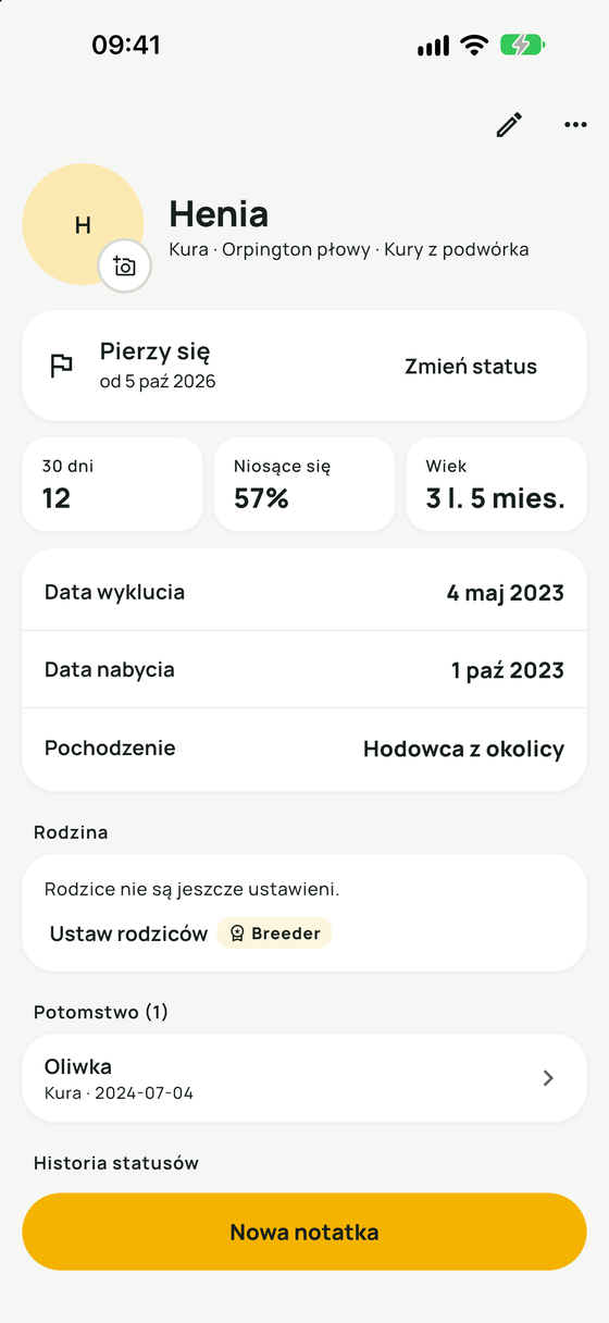 Karta kury z historią